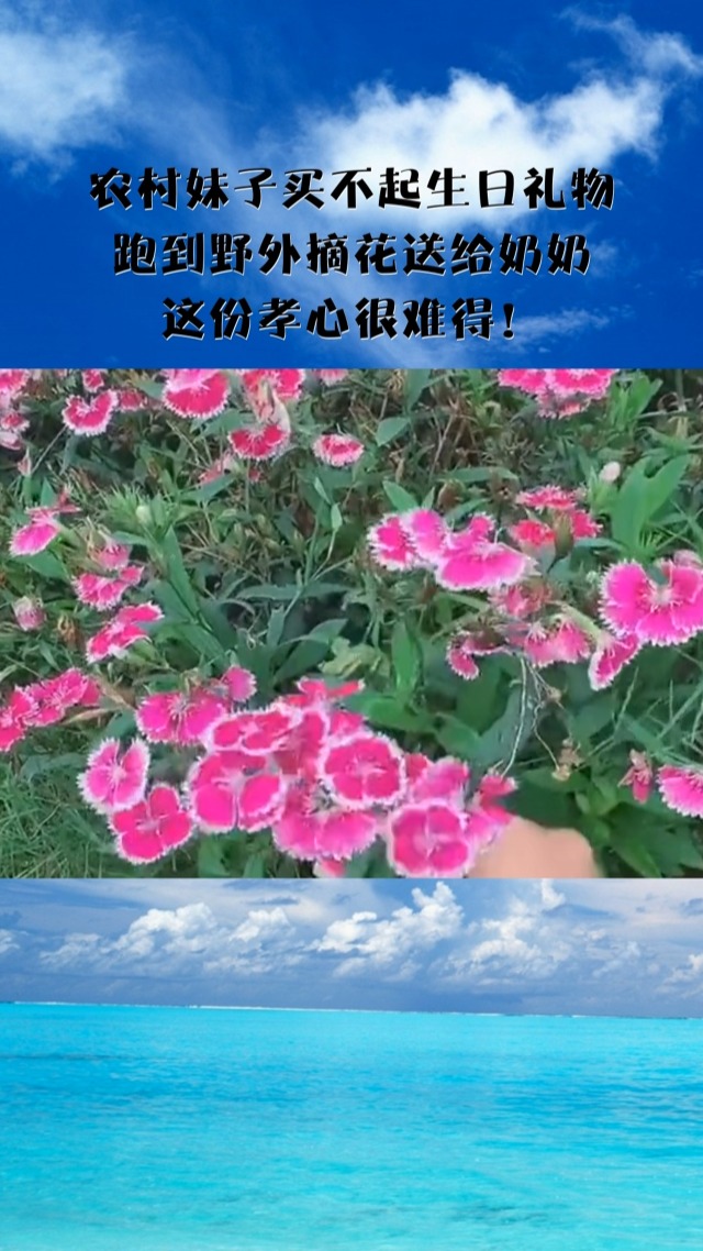 农村小女孩野外生存Java农村野外妇女，HD技术的普及与影响