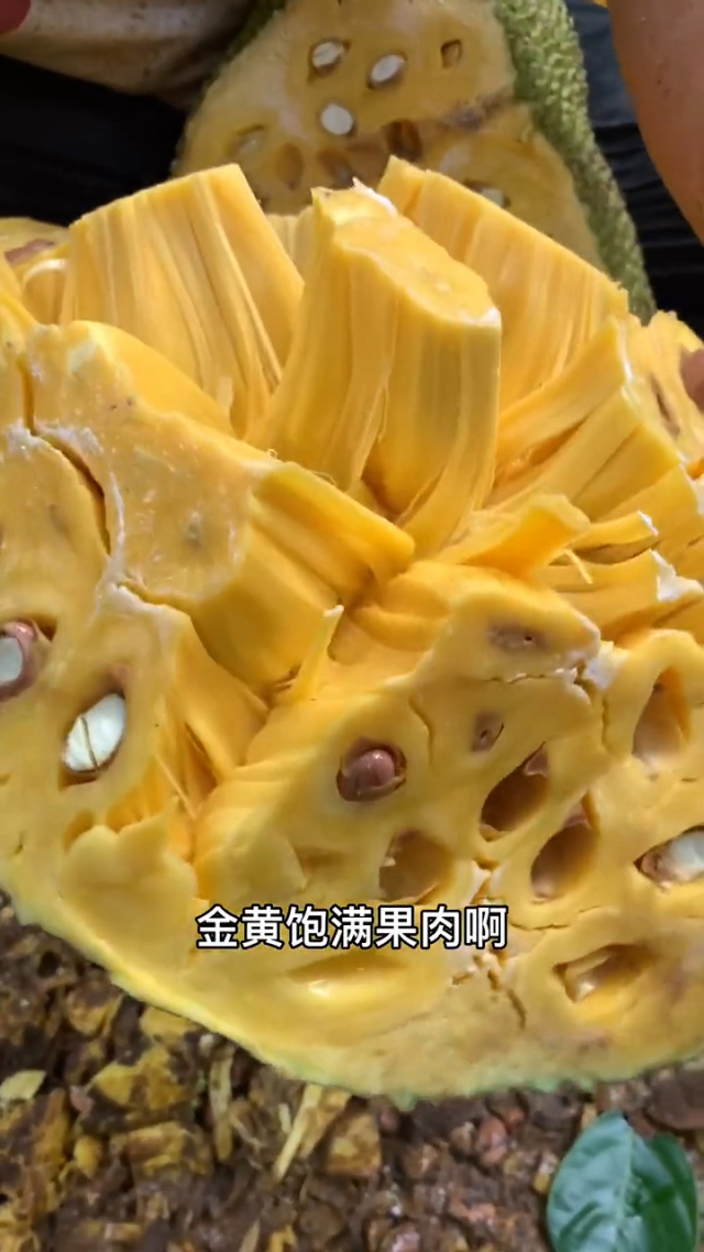 菠萝蜜视频在线观看入口视频菠萝蜜视频在线观看入口-第1张图片