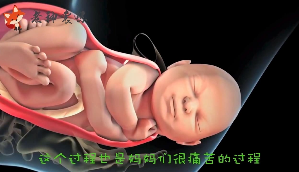 嗯，宝宝怎么这么大视频-第2张图片