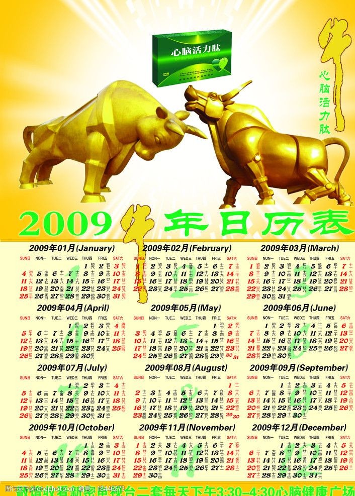 2009日历2009日历，回顾与展望-第2张图片