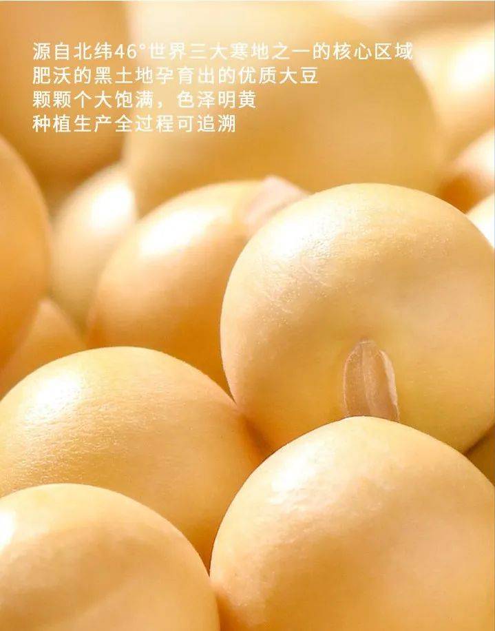 豆奶视频1.5.5豆奶视频1.5.5，探索健康与美味的完美结合-第2张图片
