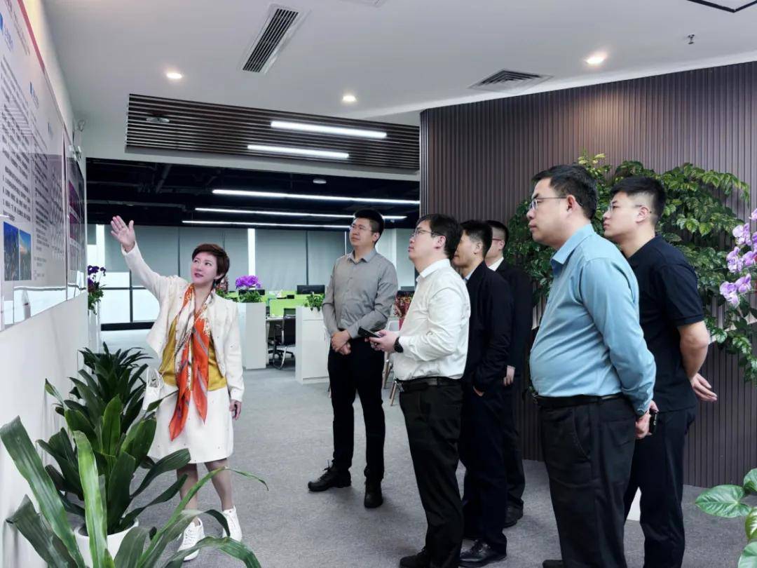 号百控股号百控股，引领行业新篇章