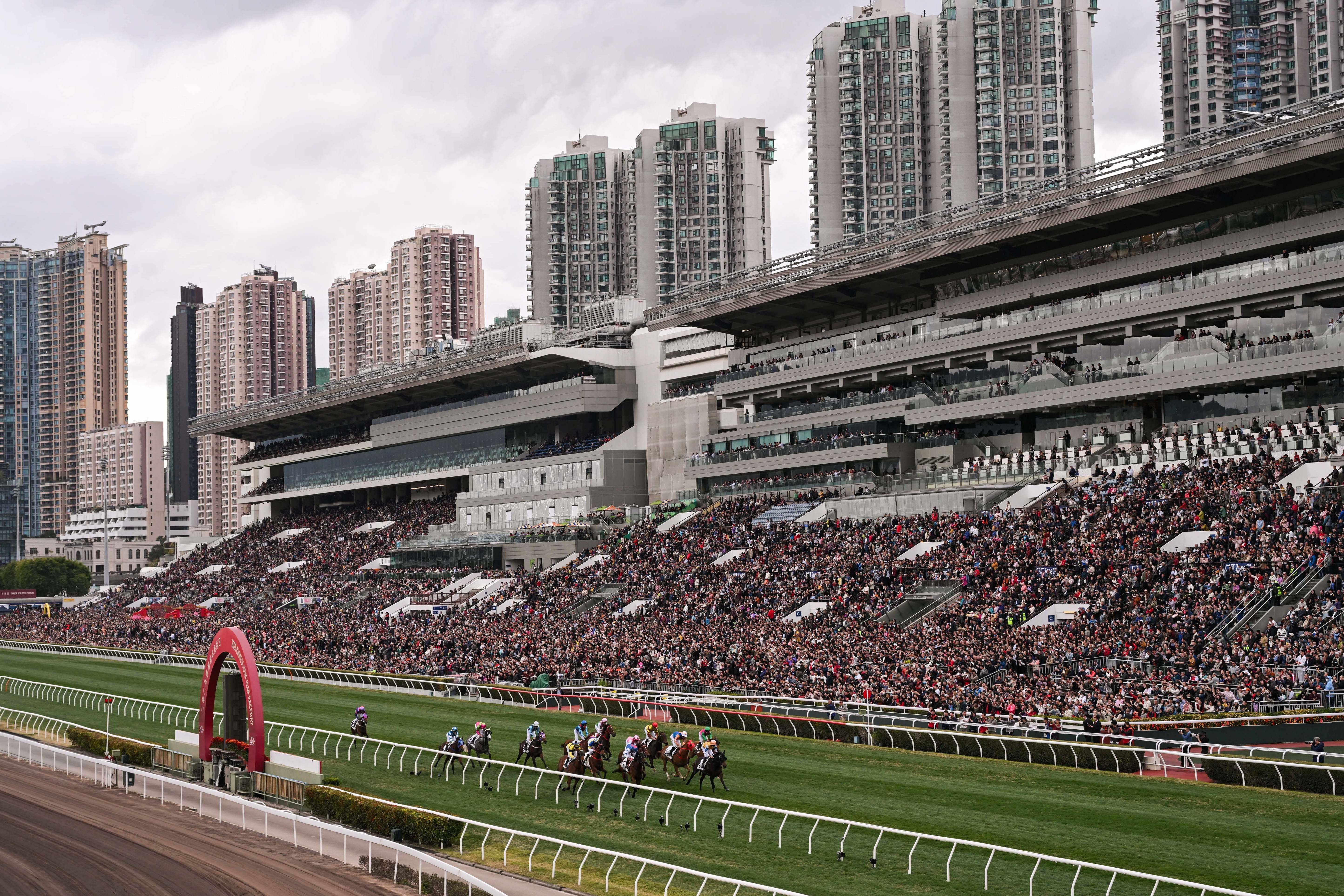香港赛马会排位表香港赛马会排位表揭晓