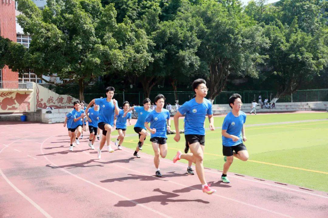 四肖中特王中王期，体育竞技的荣耀时刻