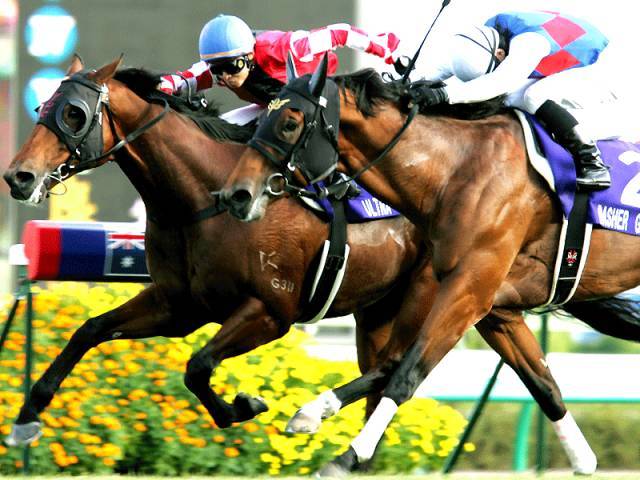 香港赛马会免费资枓网香港赛马会免费资源网，探索免费资源的无尽宝藏-第2张图片