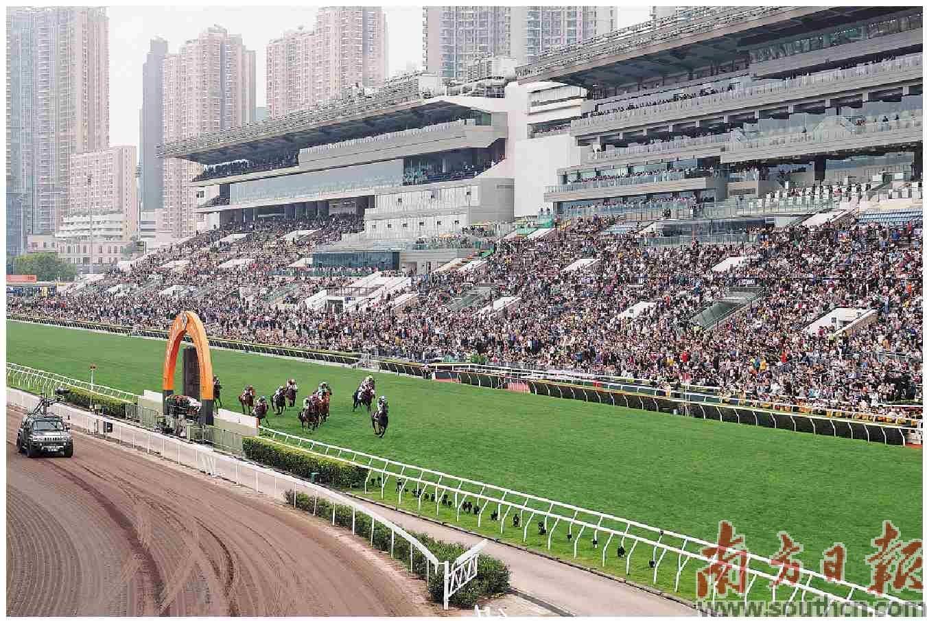 香港赛马会最准资料免费资料香港赛马会最准资料免费资料介绍-第1张图片