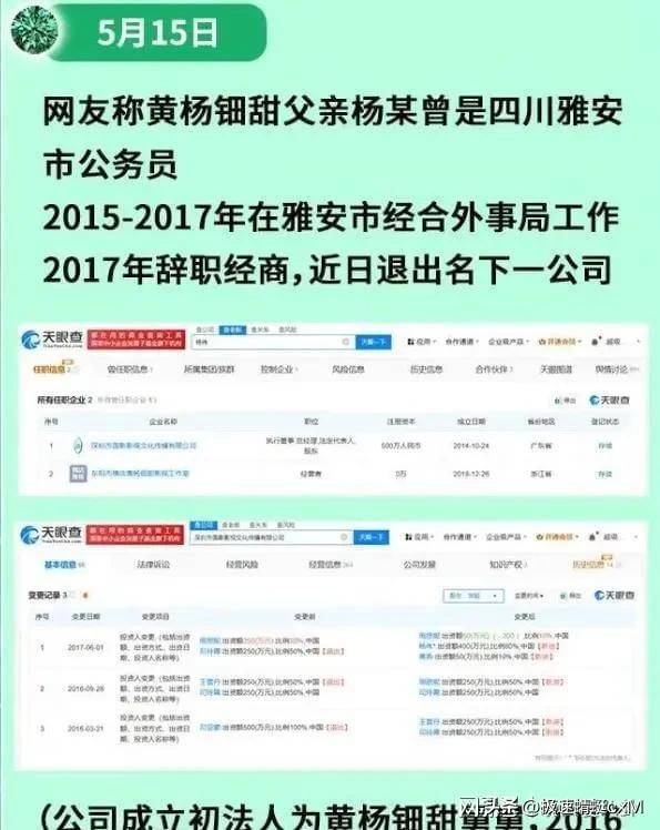 胡锡进评王力宏事件始末胡锡进评王力宏事件，深度解析与舆论风向-第2张图片