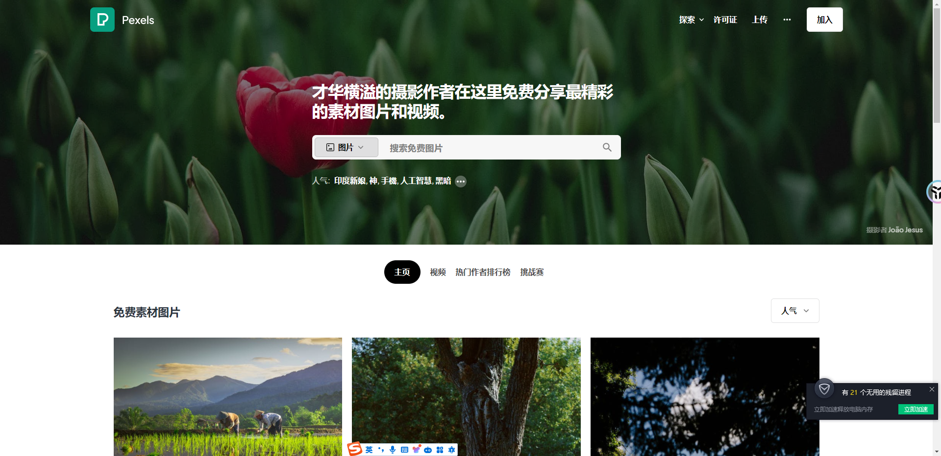 有人有片免费视频吗？探索免费视频资源库