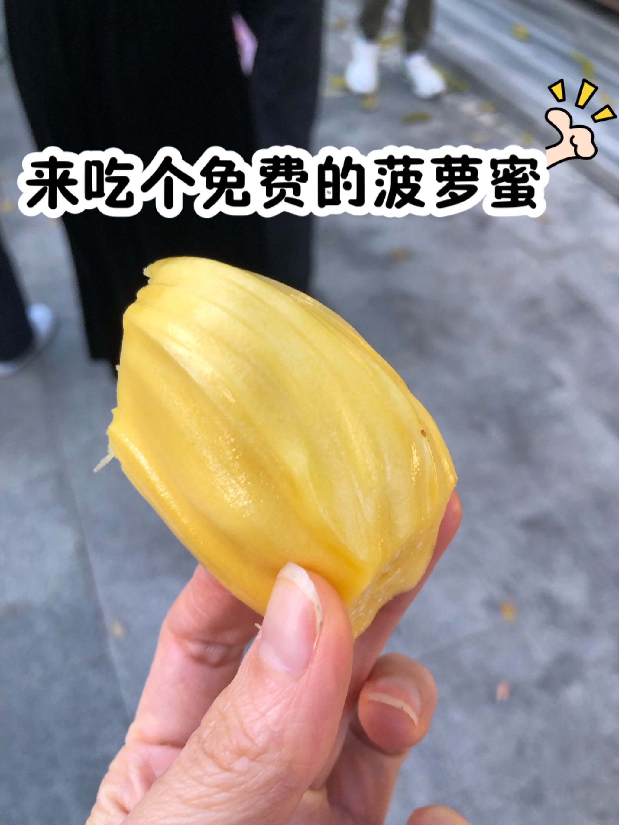 菠萝蜜视频在线观看体验