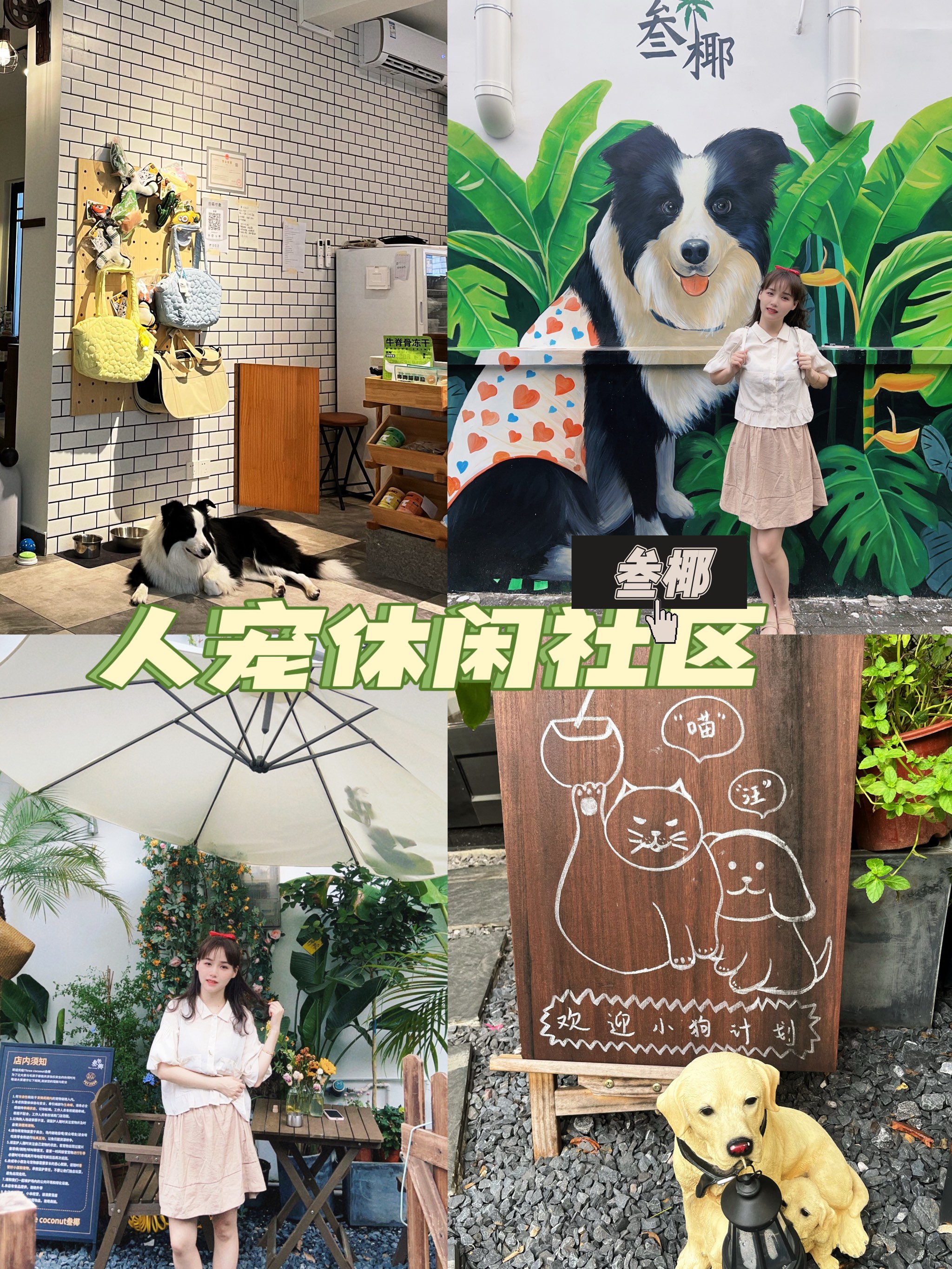 人狗相遇，ZOOM欢迎你