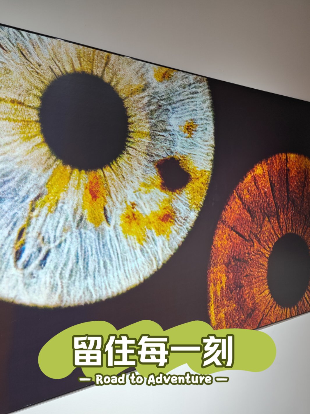 哇嗄，探索声音的奇妙世界