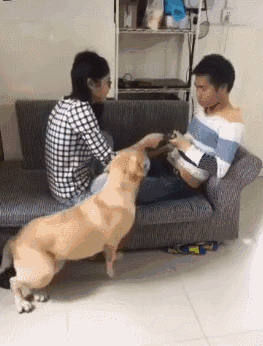 男生咬我小兔兔动图男生咬我的小兔兔-第2张图片