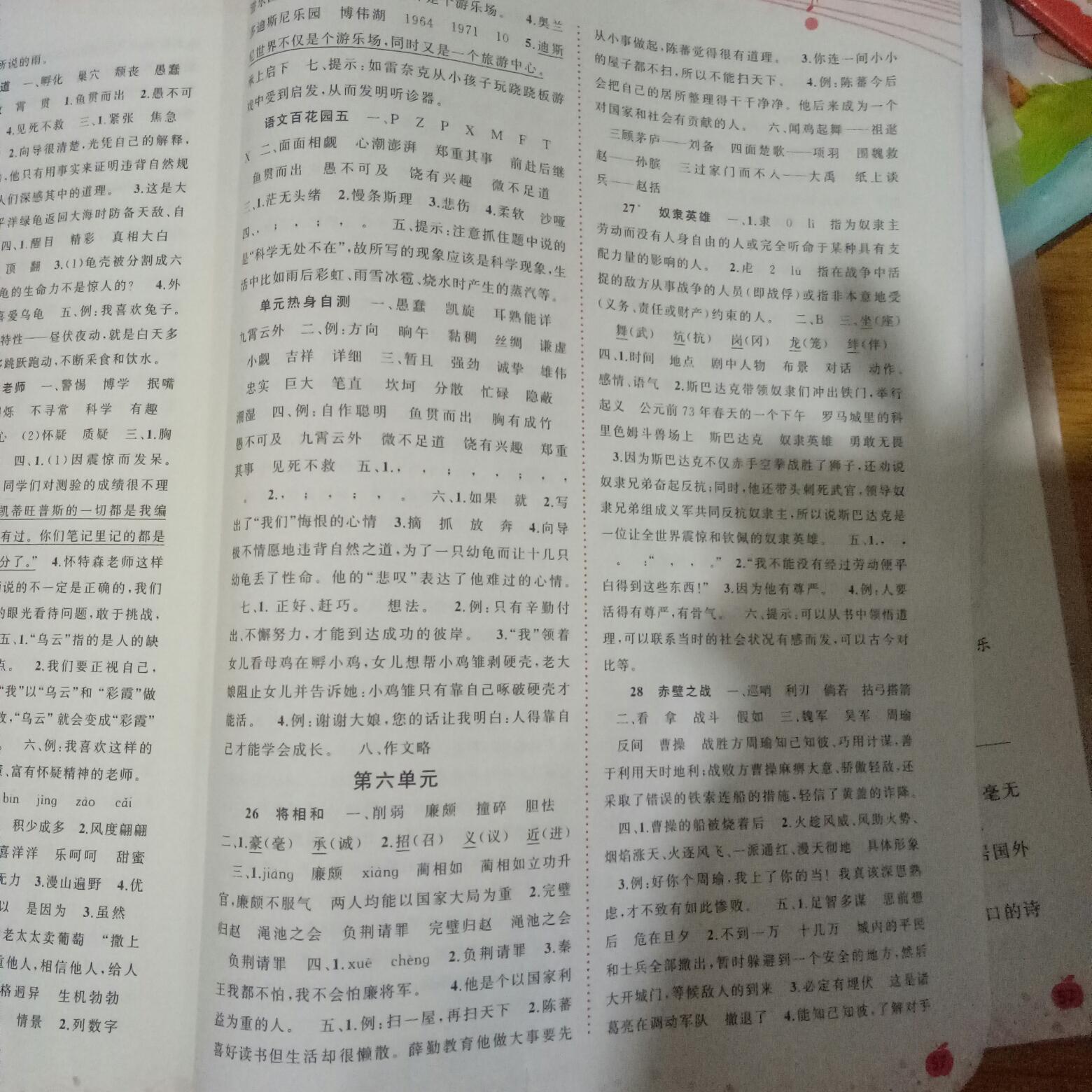 我才上六年级就C过了