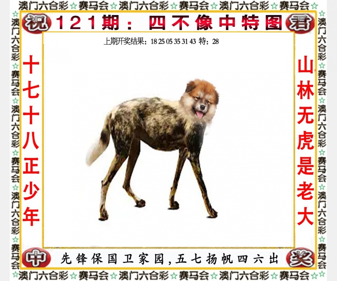 2024澳门精准正版资料76期2024澳门精准正版资料76期，把握未来，精准布局-第2张图片