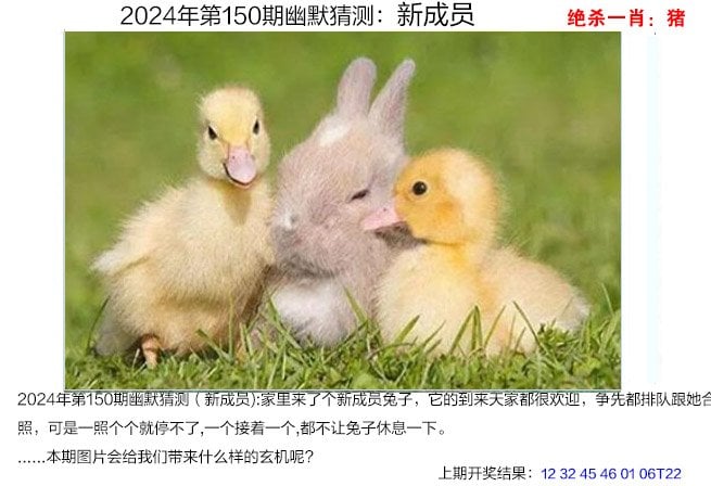 香港澳门彩开奖结果查询记录2024年香港澳门彩开奖结果查询记录-第3张图片