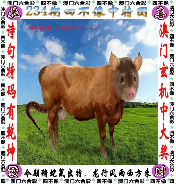 今晚澳门开码资料免费看今晚澳门开码资料免费看-第2张图片