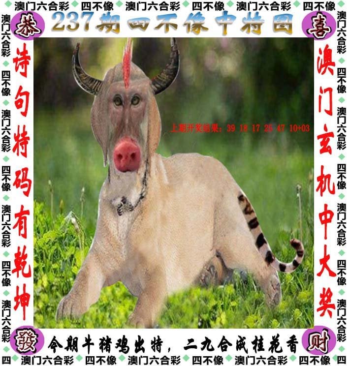 澳门一肖一码100%准确香港澳门肖码一码100%准确，香港之谜
