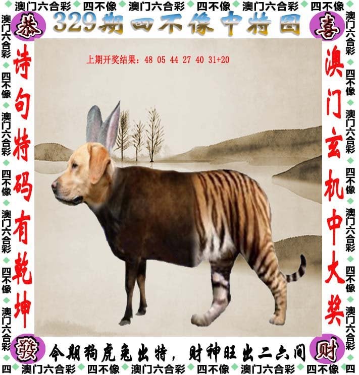 新澳门一码一肖一特一中新澳门，一码一肖一特一中的神秘魅力-第2张图片