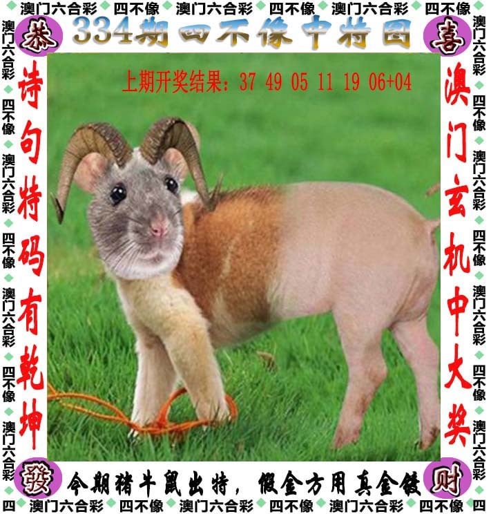 澳门每日开奖结果揭秘-第2张图片