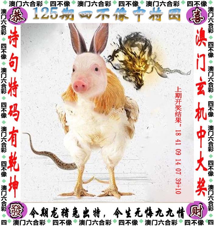 2025新澳门王中王免费观看澳门码黄大仙资料大全-第2张图片