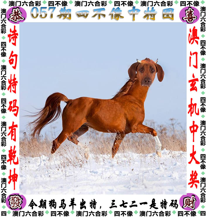 2021年今晚澳彩开奖结果揭晓