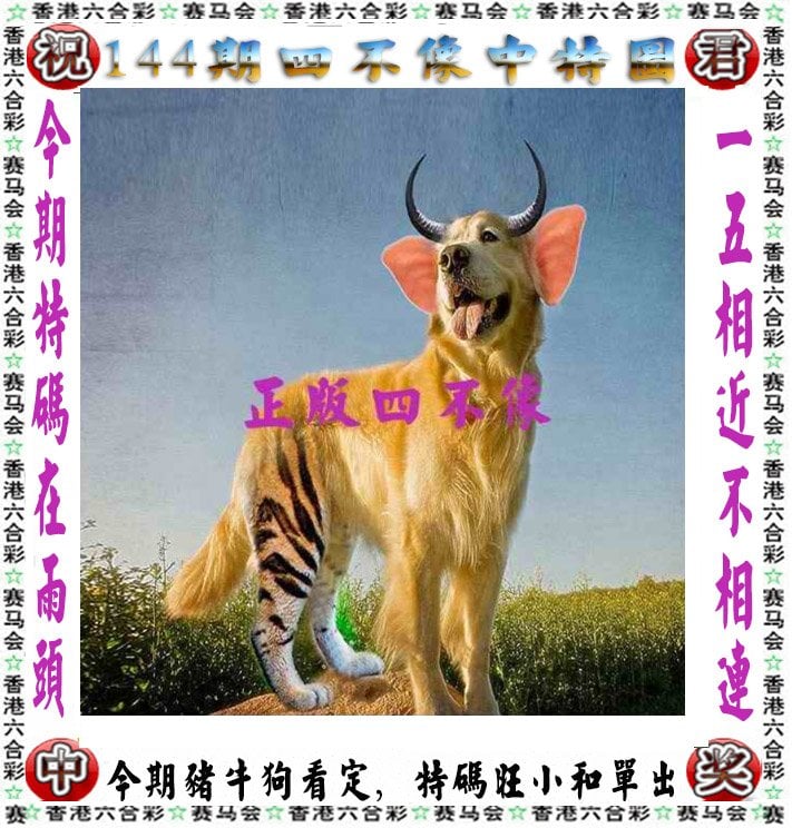2025全年资料免费大全一肖一特香港2023正版全年资料免费看