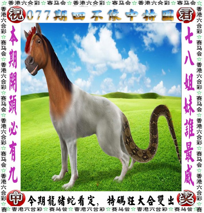 跑狗网，引领宠物健康与训练的新潮流