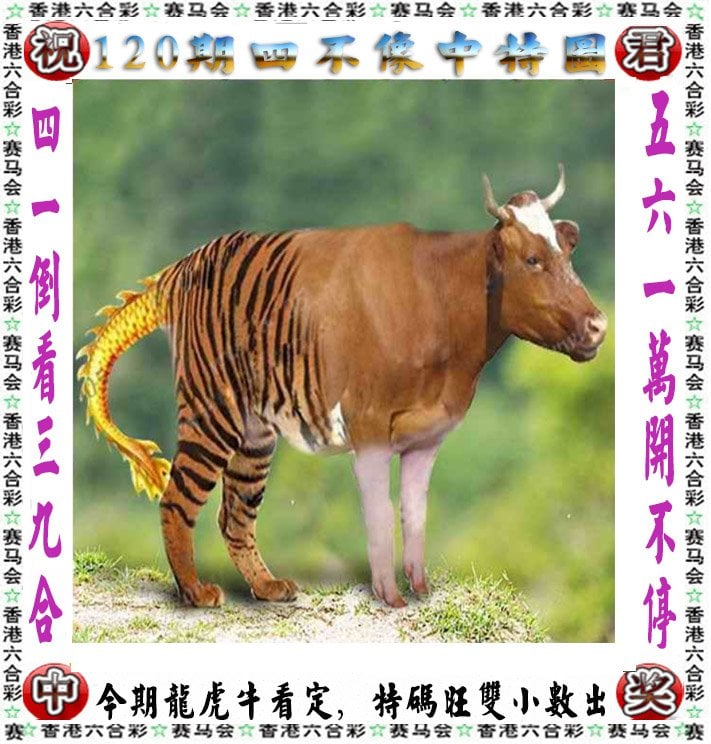 246天免费资料大放送，二四六好彩，免费领取你的学习资源-第2张图片