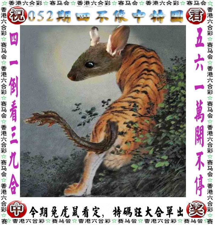 2024香港历史开奖结果查询表最新2024香港历史开奖结果查询表最新解读