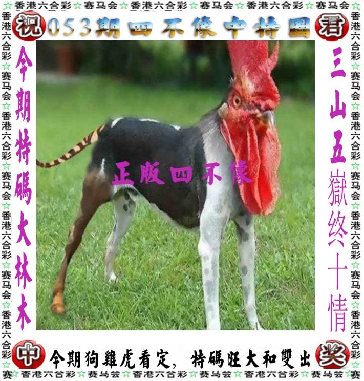 香港6合开彩开奖结果揭晓-第1张图片