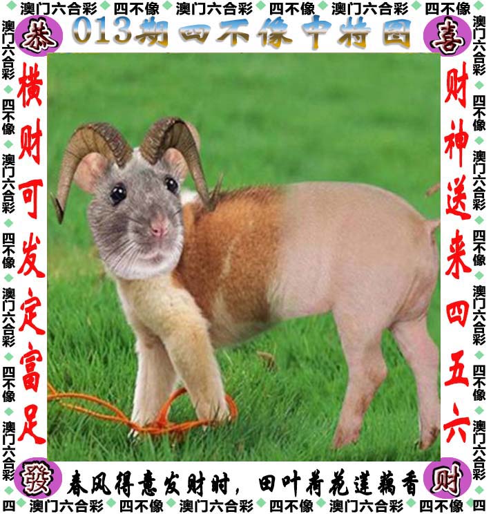 白小姐精选三肖期期准APP介绍-第3张图片