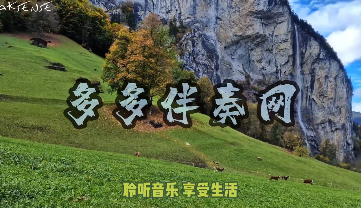 中国音乐伴奏网免费下载中国音乐伴奏网，探索音乐世界的新窗口-第3张图片