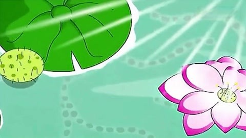 小蝌蚪视频app。小蝌蚪视频APP，探索视频娱乐新世界