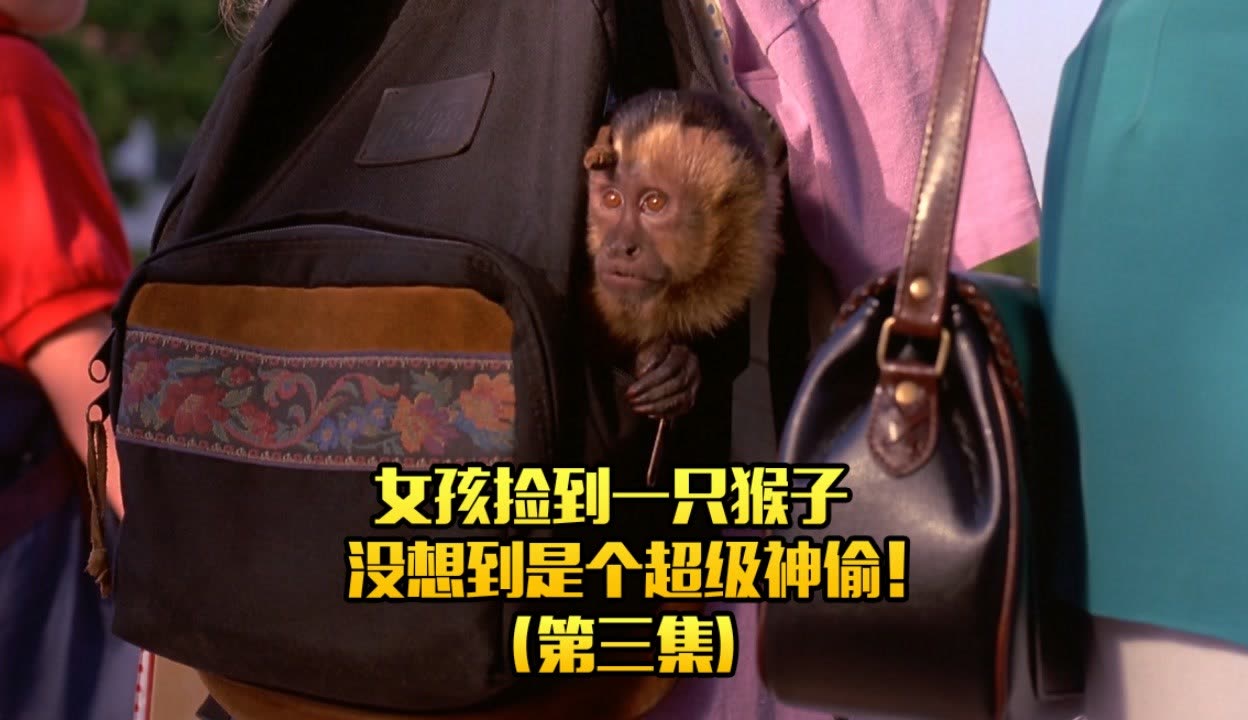 超级神偷全文阅读超级神偷，神秘行动背后的故事-第2张图片