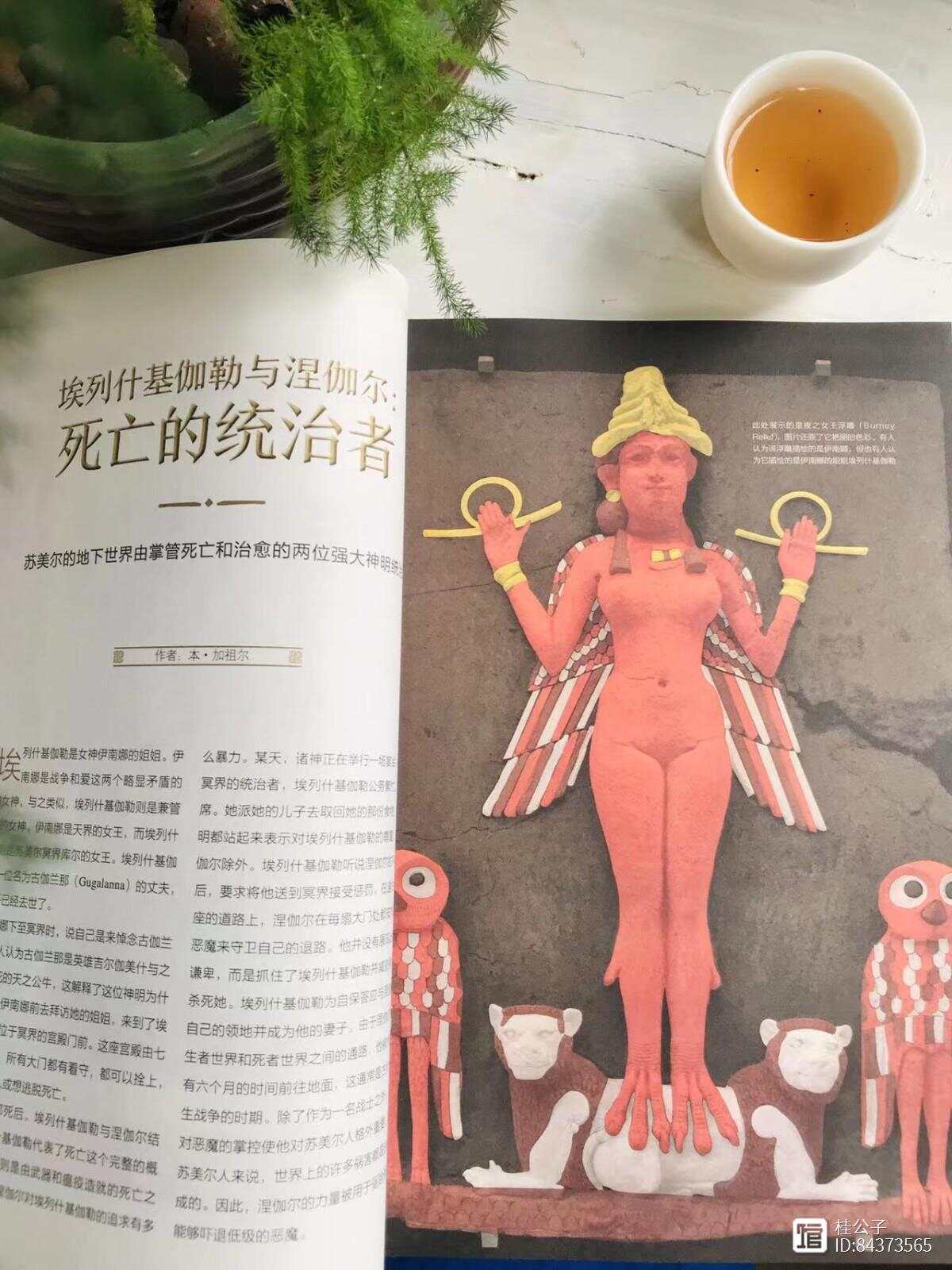 新光之神话汉化新光之神话，神秘与传奇的交织-第1张图片