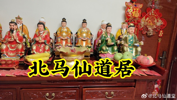 今日出马结果-第1张图片