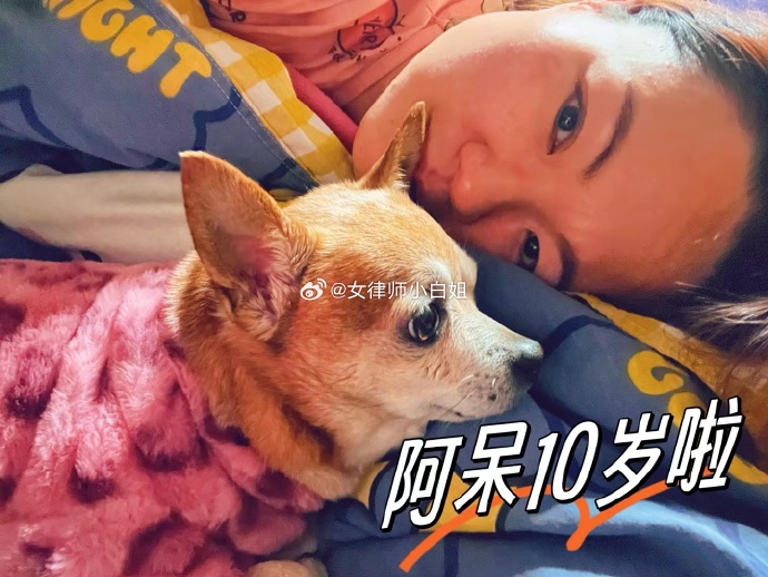白姐公开一码白姐公开一码，揭秘网络社交新势力