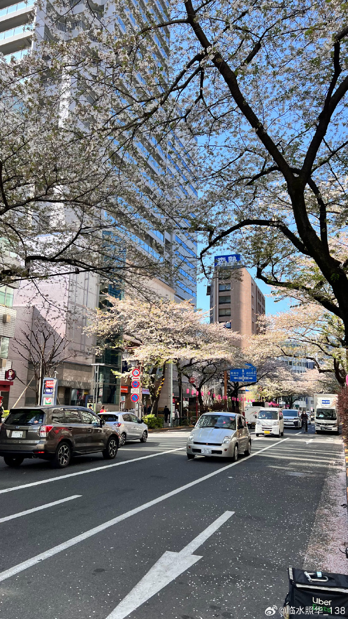 日本黄页免费视频播放网站大全日本黄页免费视频播放网站介绍-第3张图片