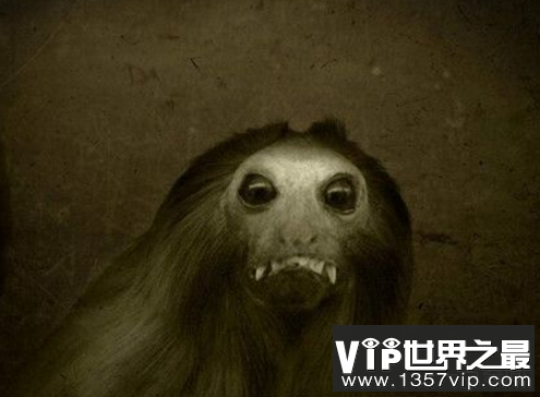 血尸血尸之谜