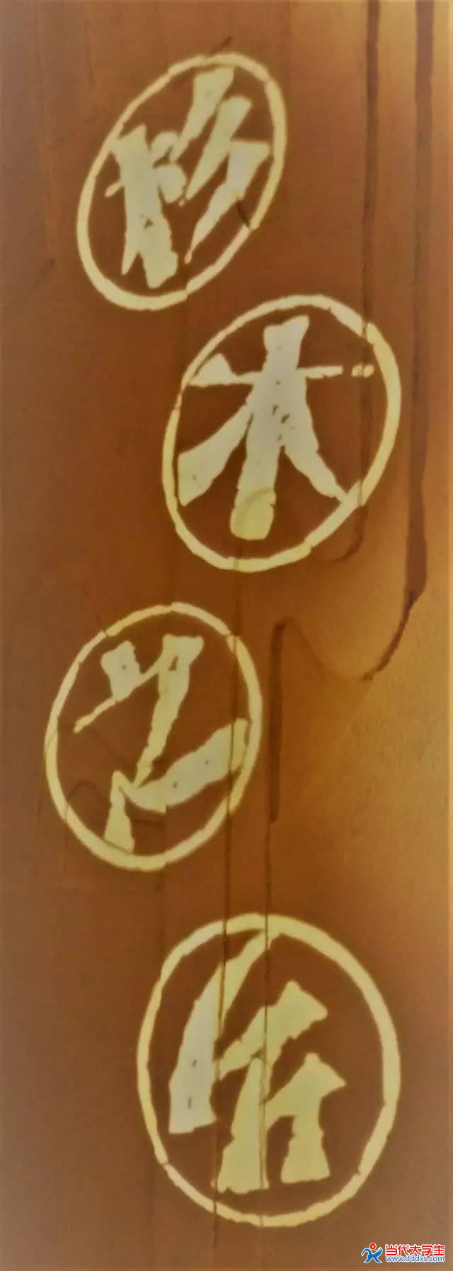 野狼中文社区，探索语言与文化的交汇之地-第2张图片