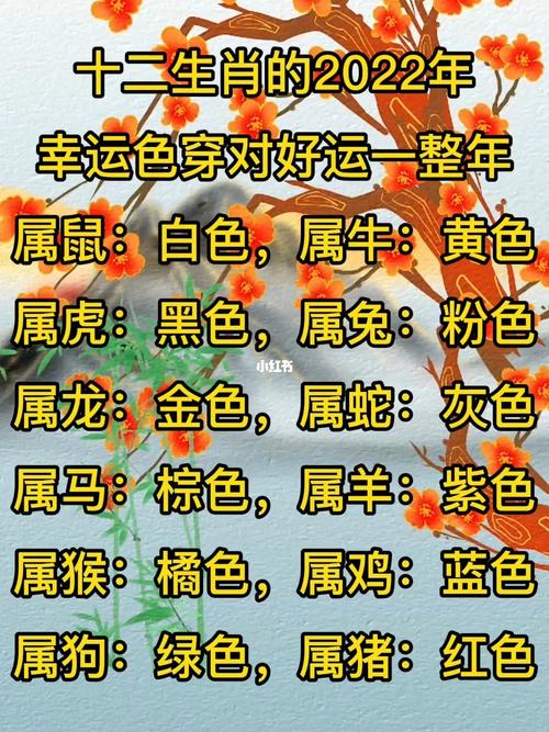 虎年运程2012