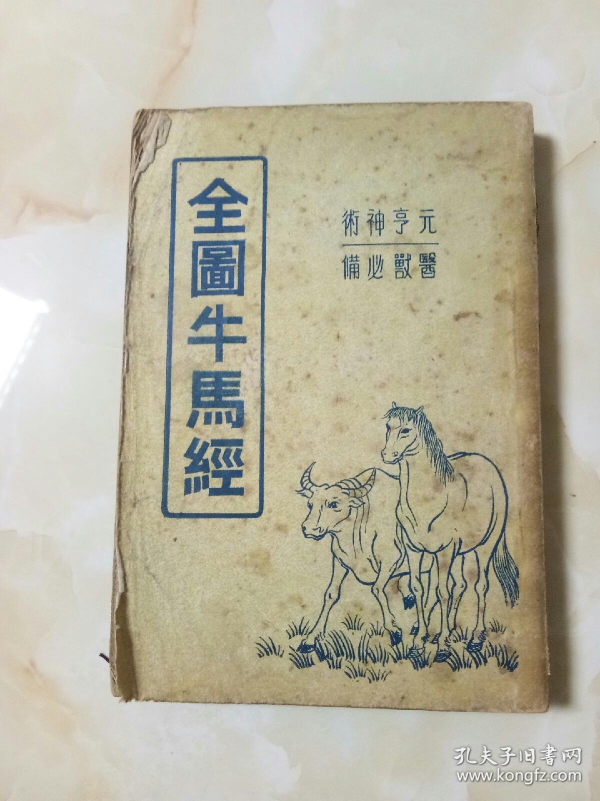 马经258图库，探索古代马匹知识与图谱的宝库-第3张图片