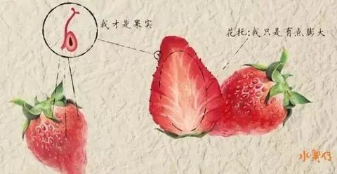 平时吃太咸蚂蚁庄园平时吃太咸，健康隐患多