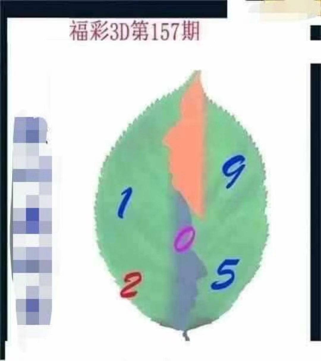 今日3d正版藏机图全部汇总今日3D正版藏机图揭秘-第3张图片