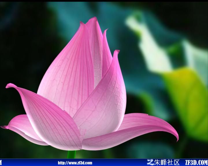 青榴社区视频青榴社区视频，社区生活的多彩画卷