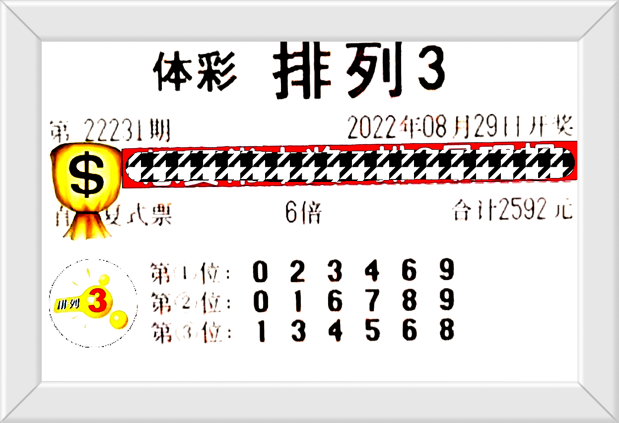 2024年新澳门王中王资料滇2024年新澳门王中王资料概览-第3张图片