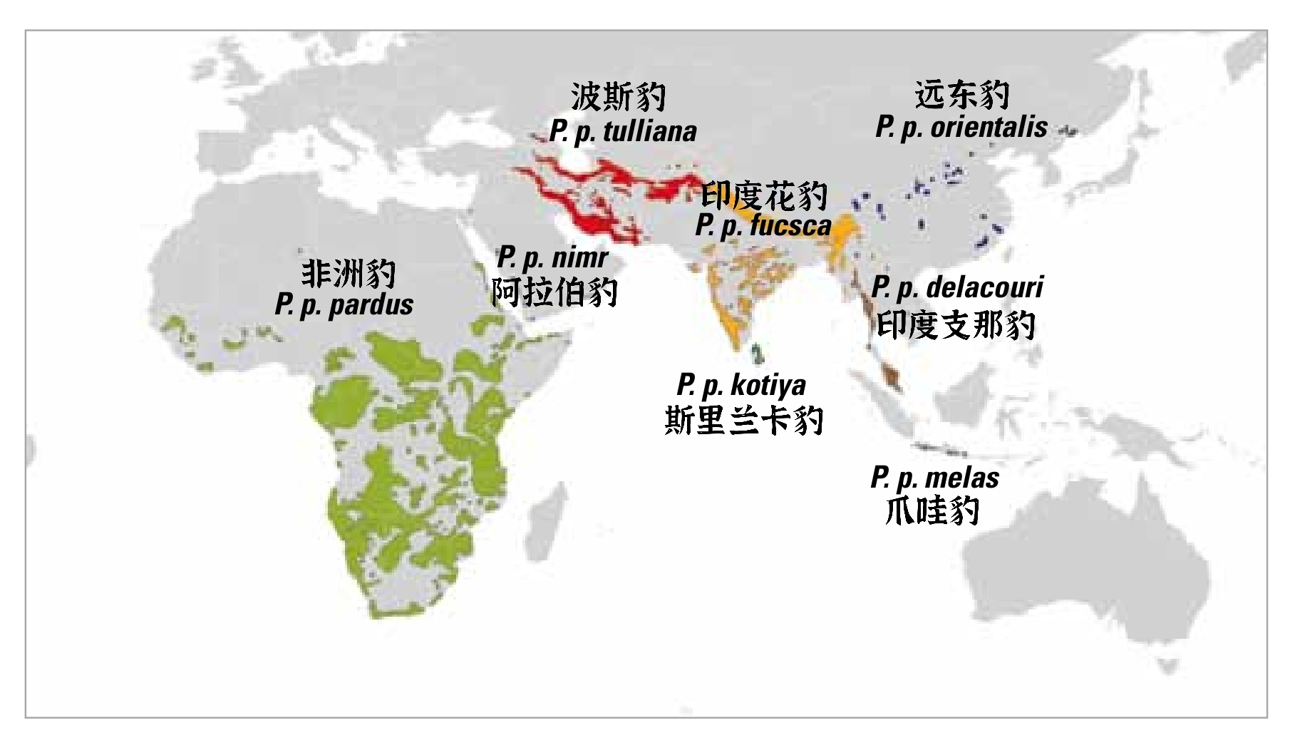 japonensisjavacoJAPONENSISJAVA成熟欢迎您