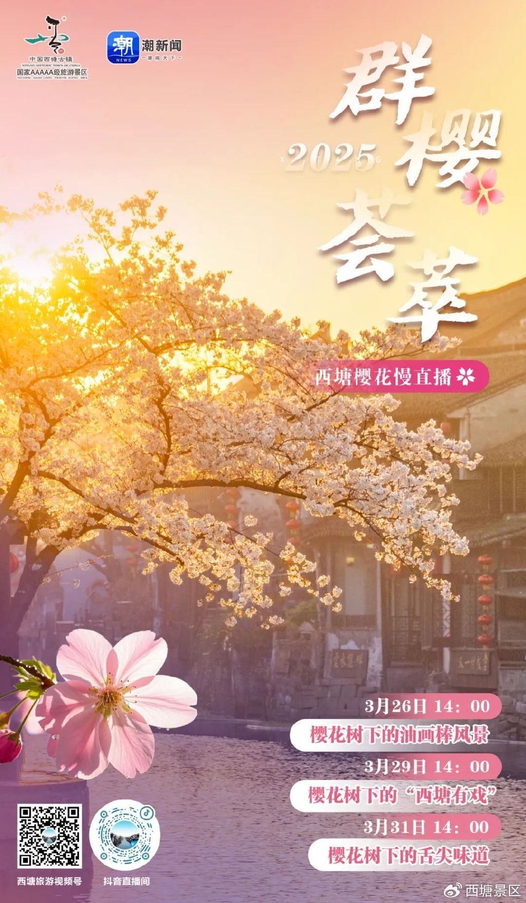 樱花直播3.1.2樱花直播3.1.2，直播新时代的樱花盛开