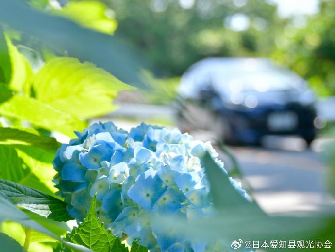 日本一卡在线观看免费软件推荐-第2张图片