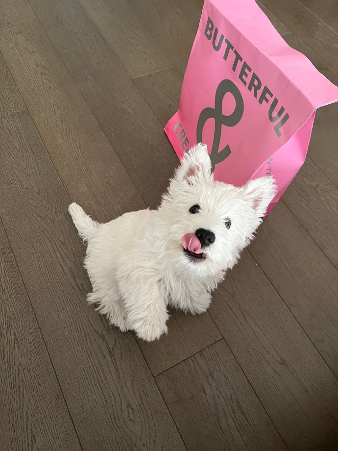 一前一后的动了起来